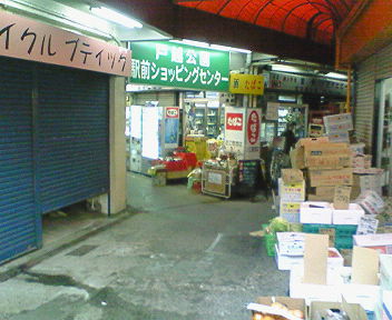 NEC_2058.jpg